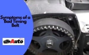 Symptoms Of A Bad Timing Belt! [Drive or Have to Change] - AutoGlobes