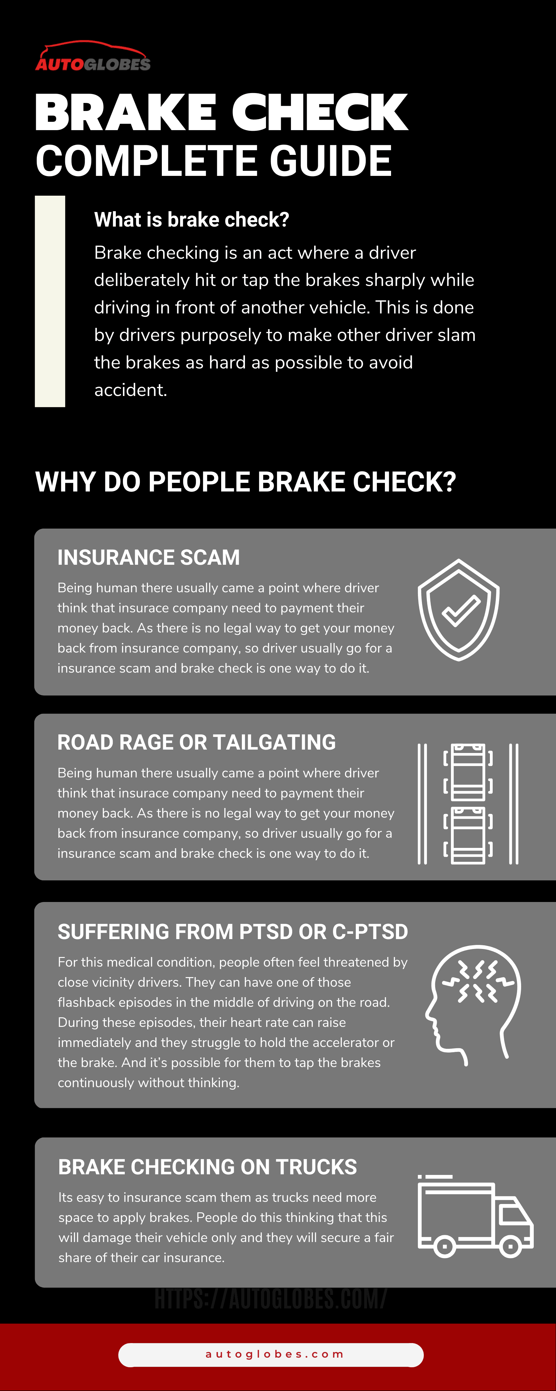 Brake Check Infographic