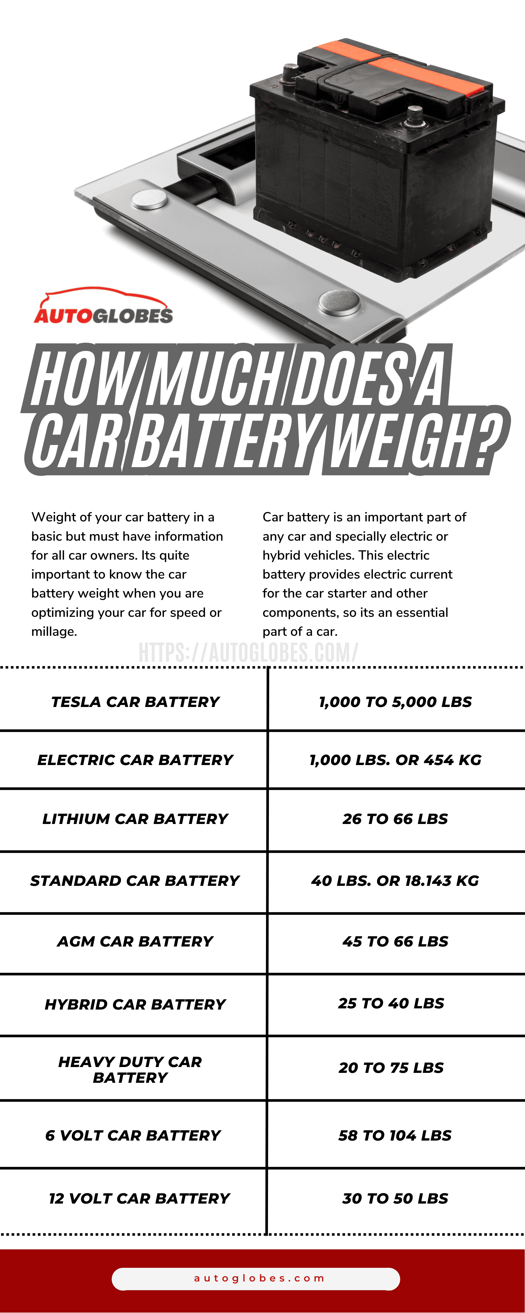 How Much Does A Car Battery Weigh Infographic