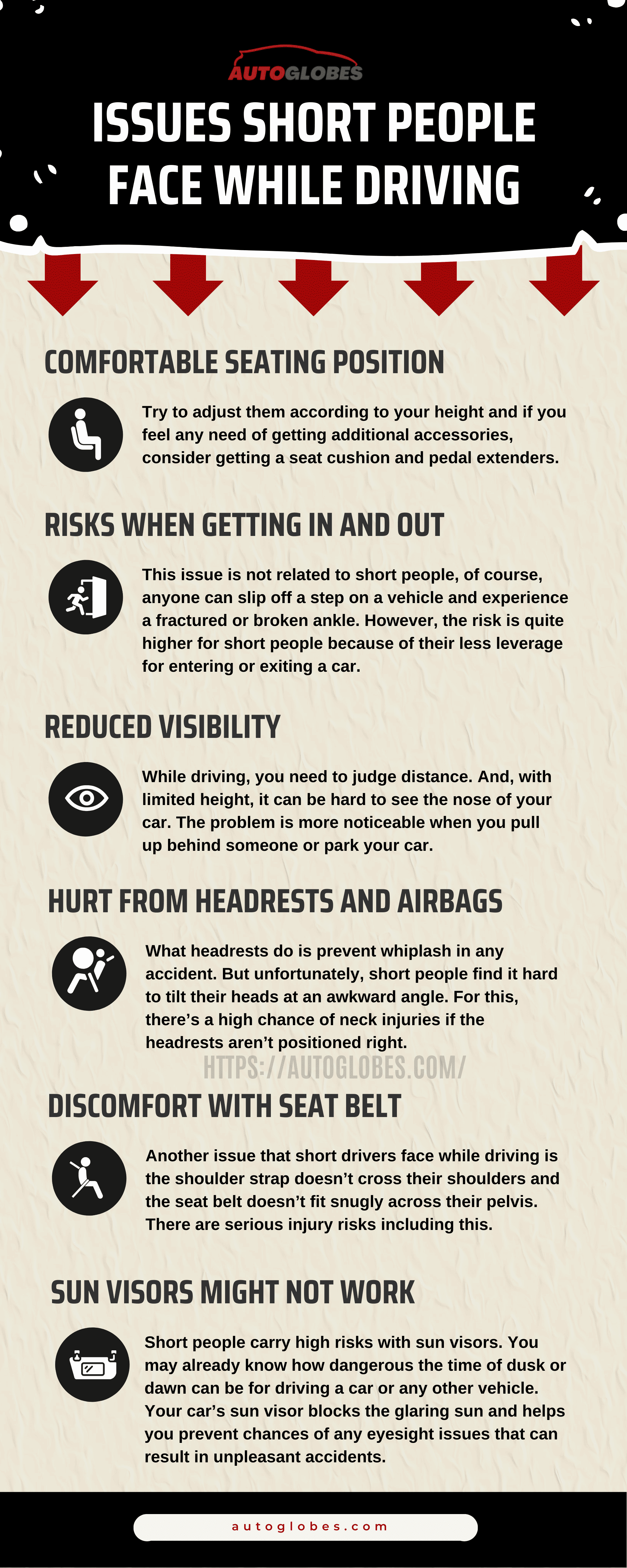 Issues Short People Face While Driving Infographic