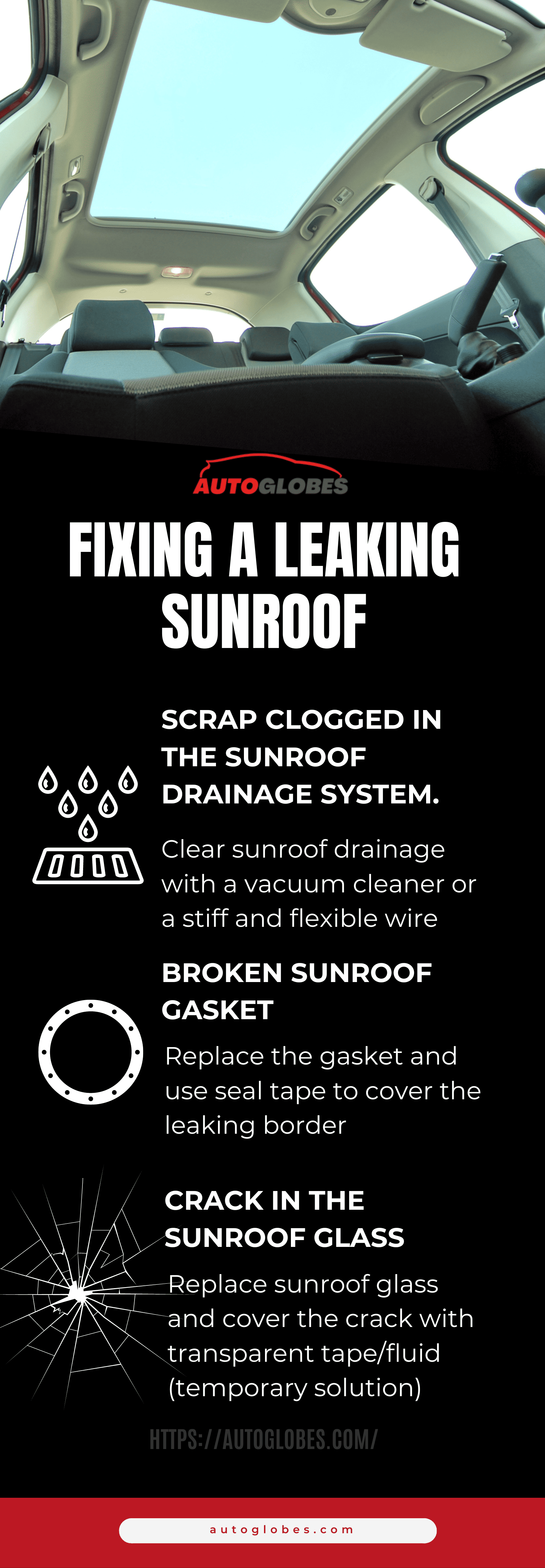 Fixing a Leaking Sunroof Infographic