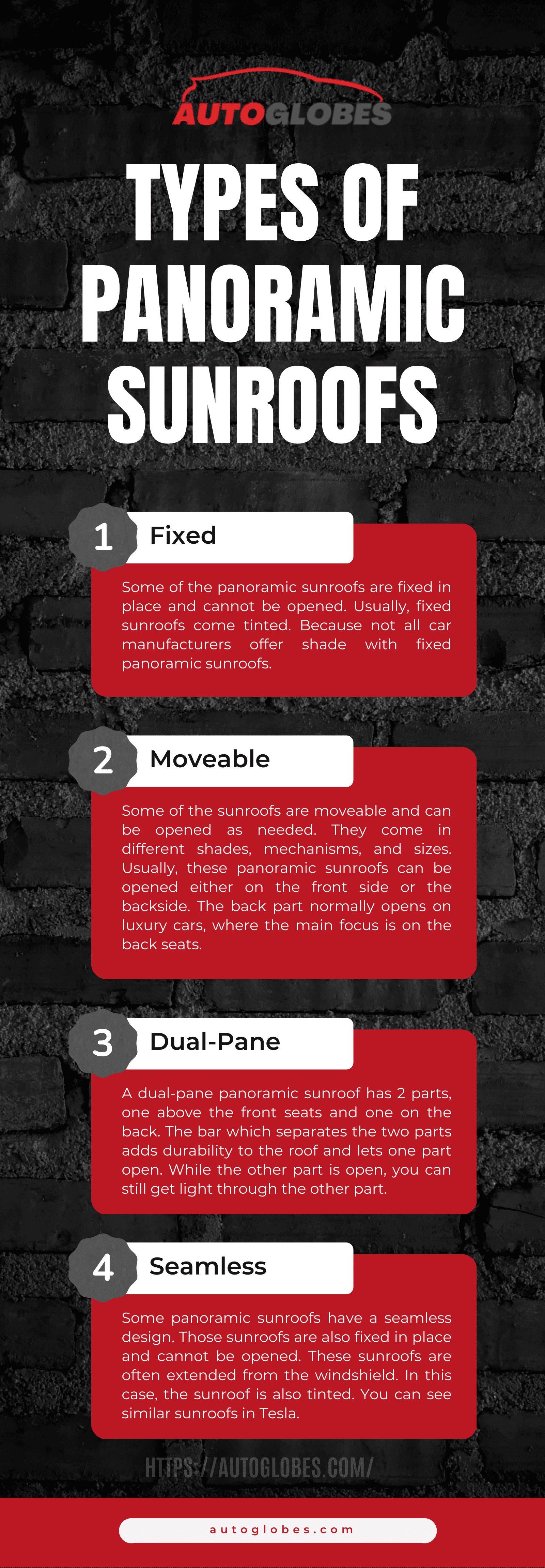 Types of Panoramic Sunroofs Infographic
