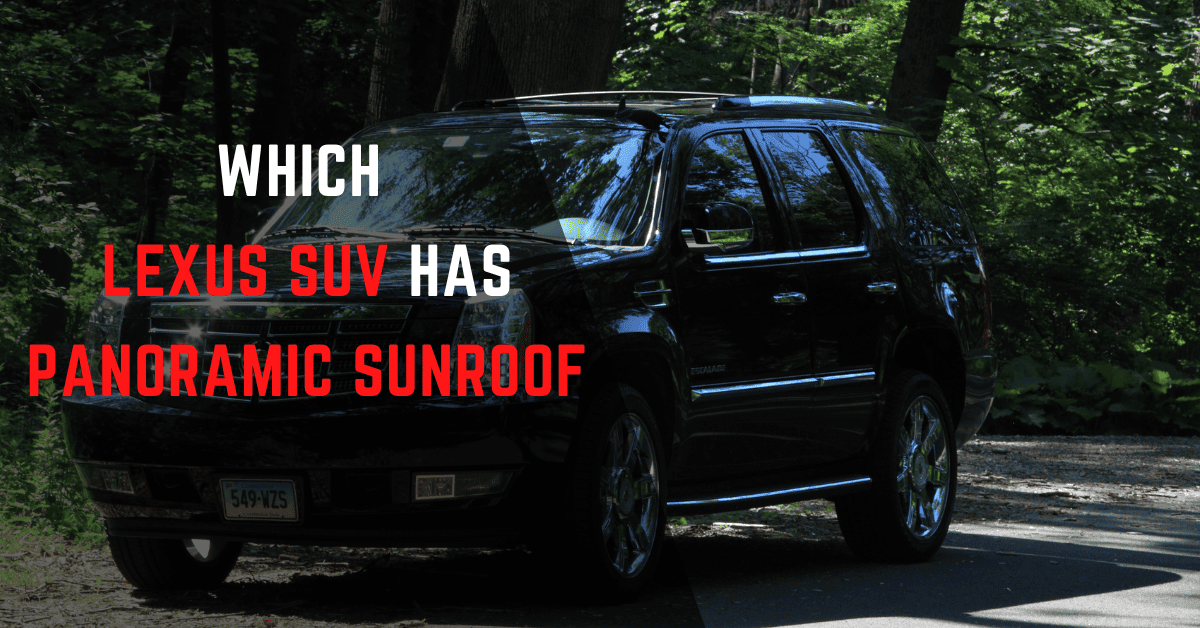 Which Lexus SUV Has Panoramic Sunroof [Complete List]