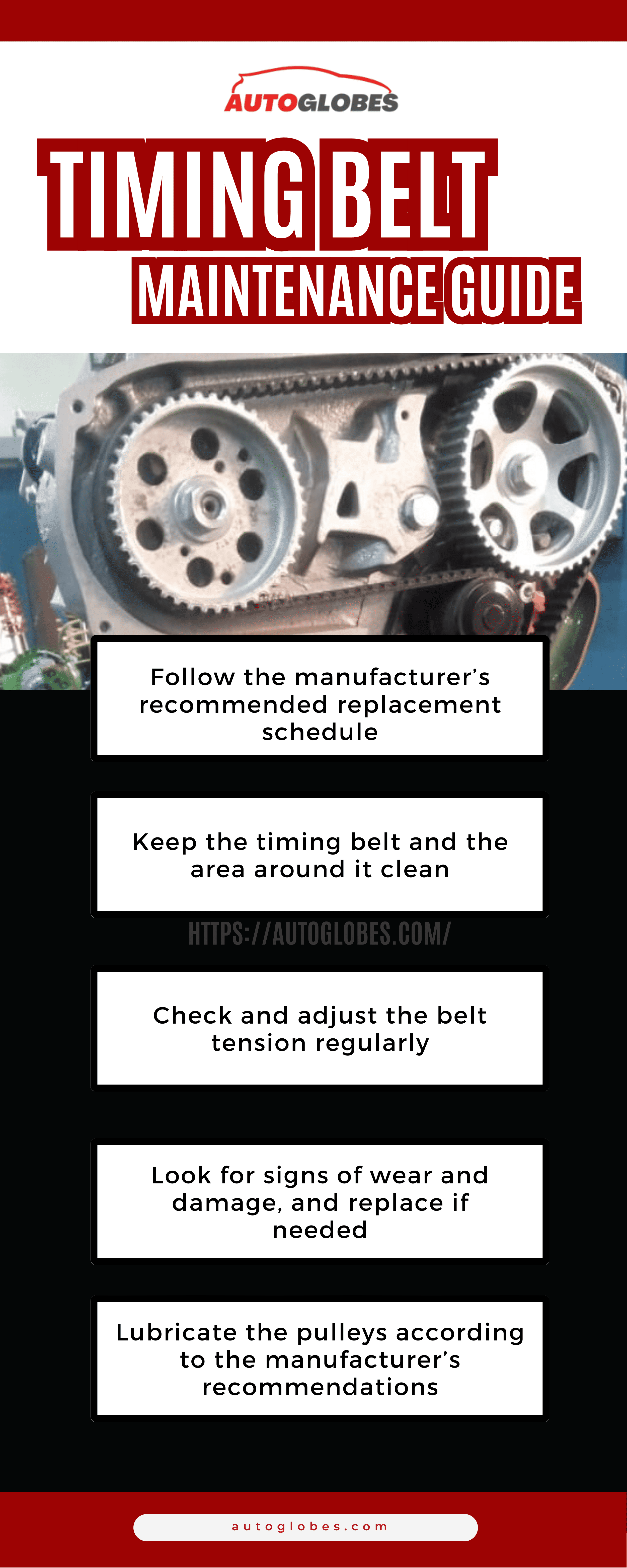 Timing Belt Maintenance Guide Infographic