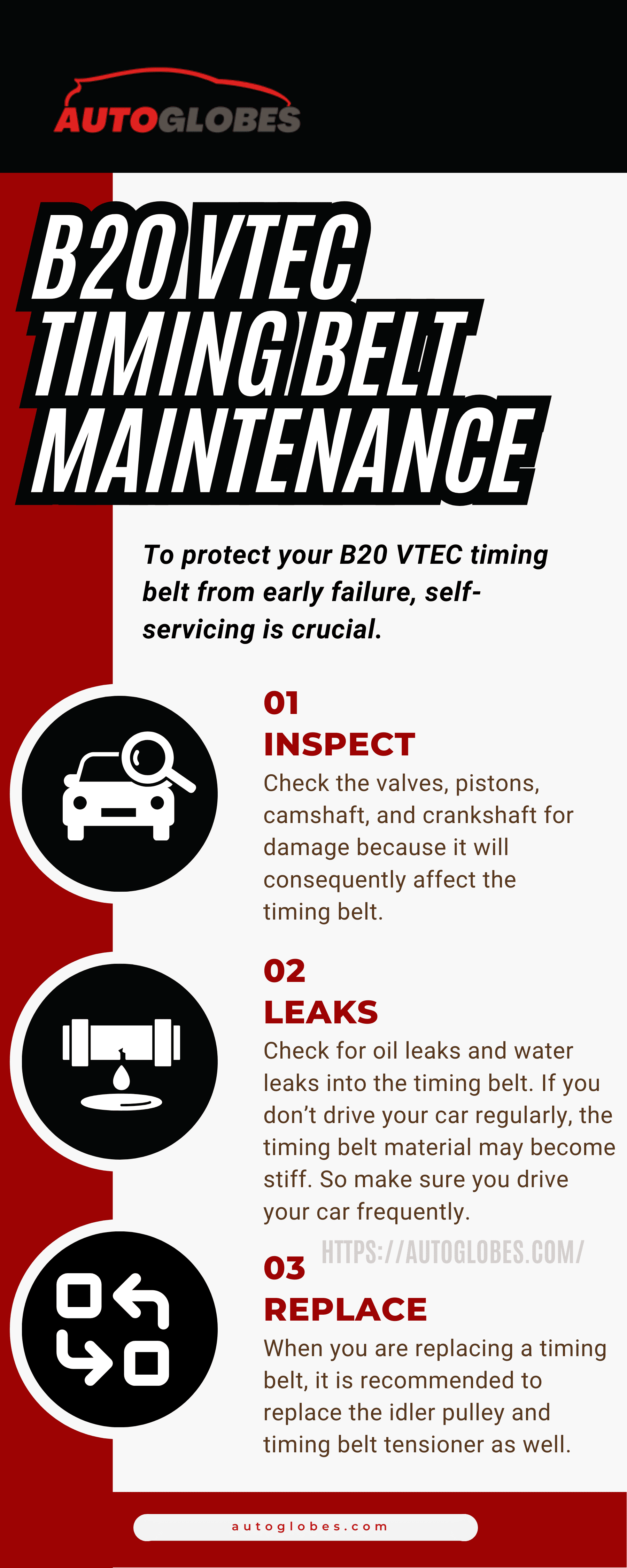 B20 VTEC Timing Belt Maintenance Infographic