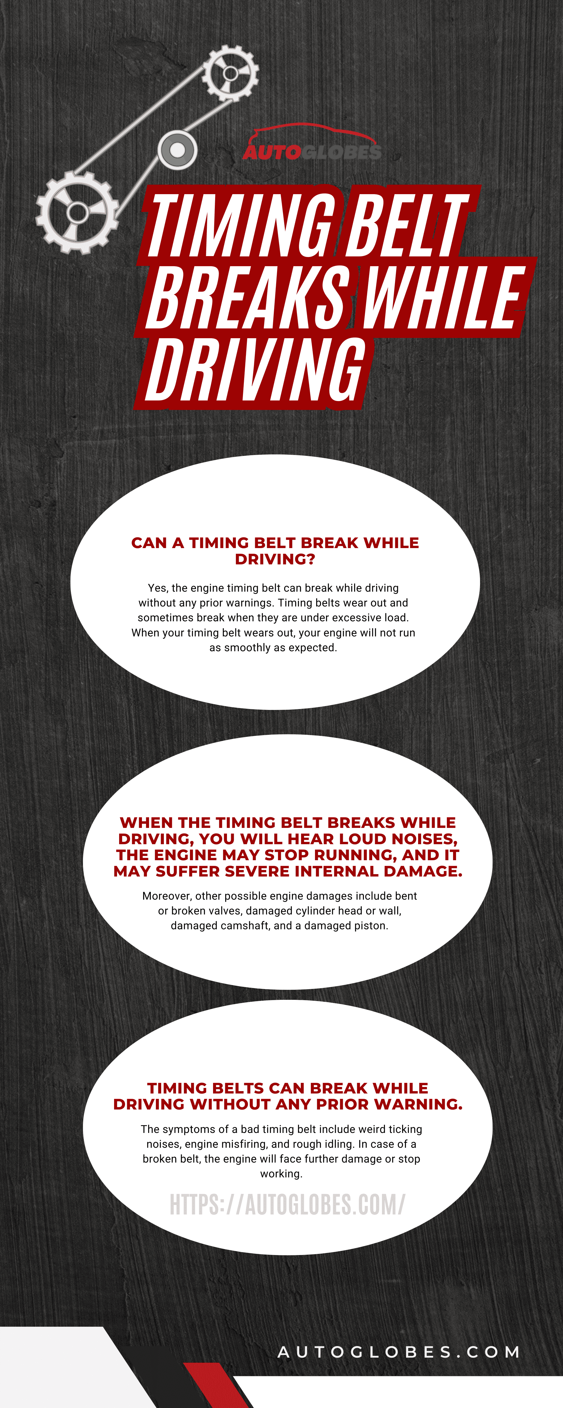 Timing Belt Breaks While Driving Infographic