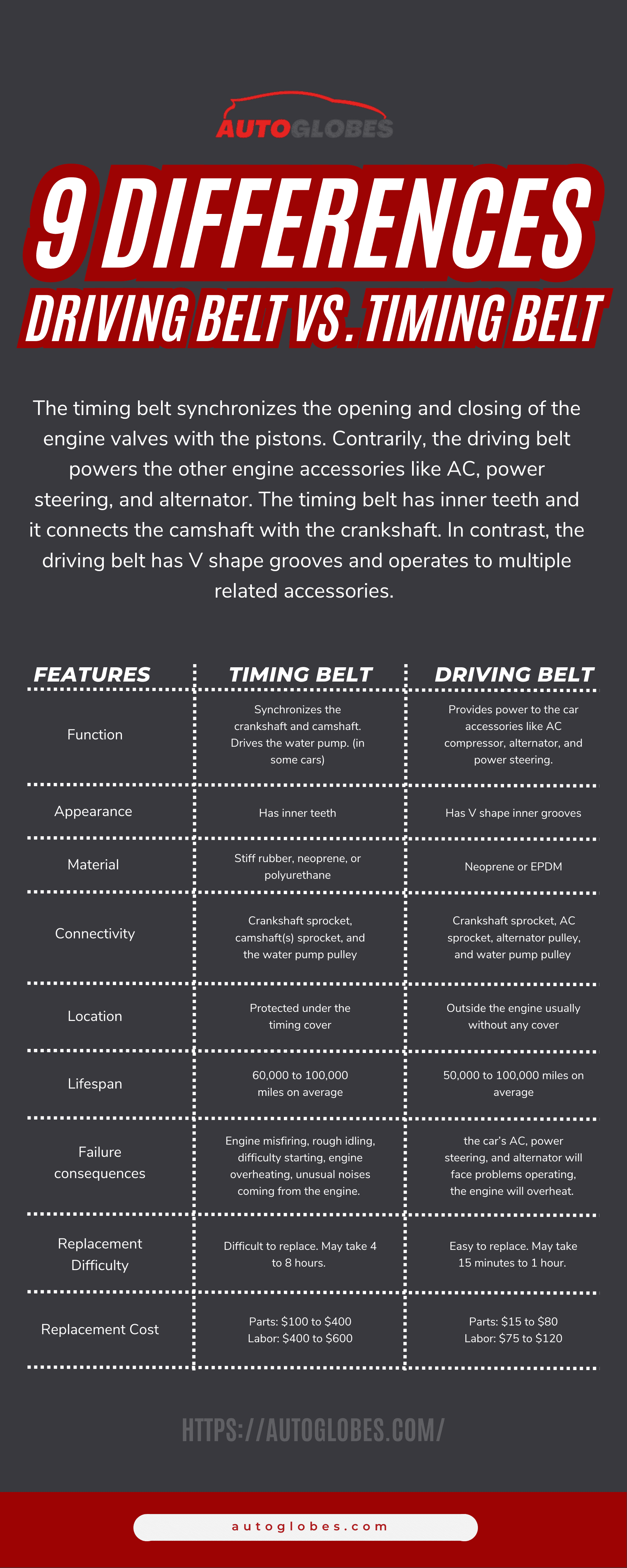 Driving Belt vs. Timing Belt Infographic