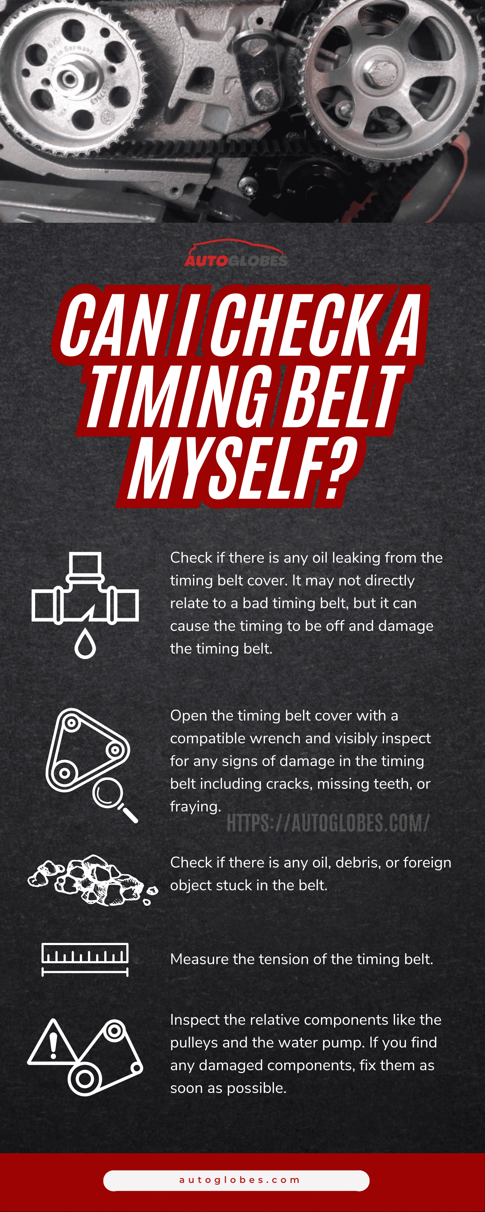 Can I Check A Timing Belt Myself Infographic