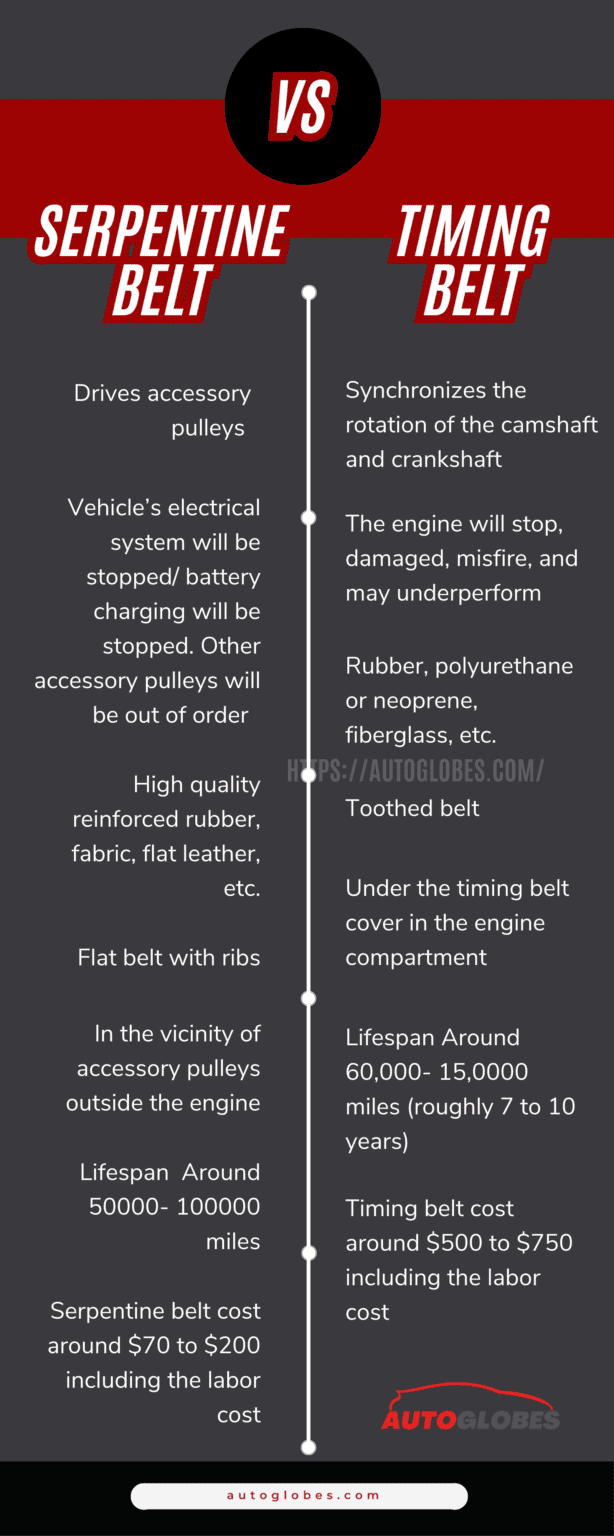 Serpentine Belt vs. Timing Belt Know The Differences AutoGlobes