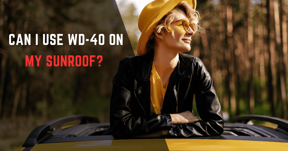 Can I Use WD-40 on My Sunroof? - Don’t Do It Again