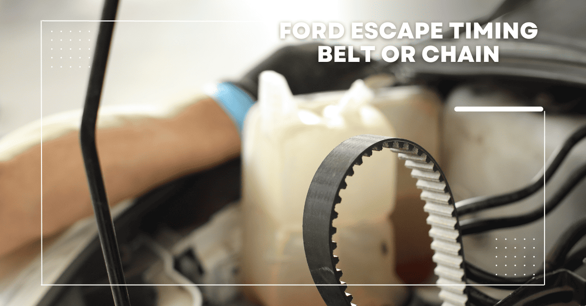 Ford Escape Timing Belt or Chain