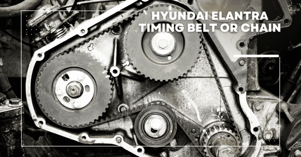 Timing Belt AutoGlobes