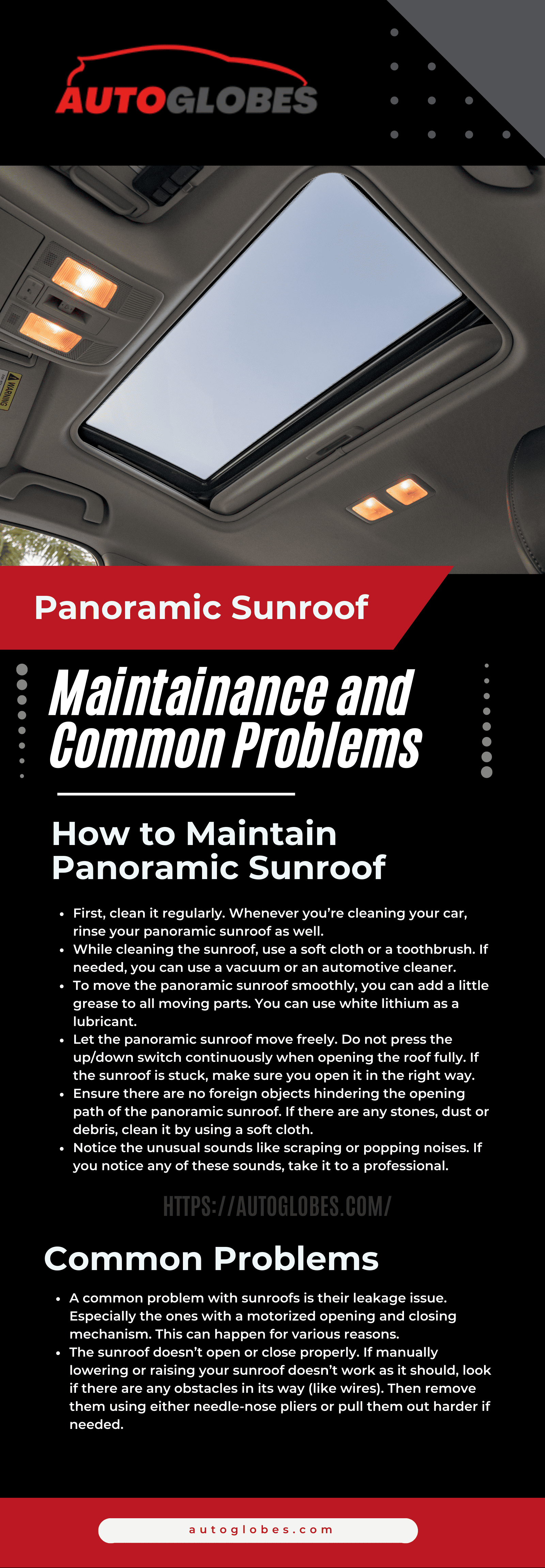 Panoramic Sunroof Maintenance and Common Problems Infographic