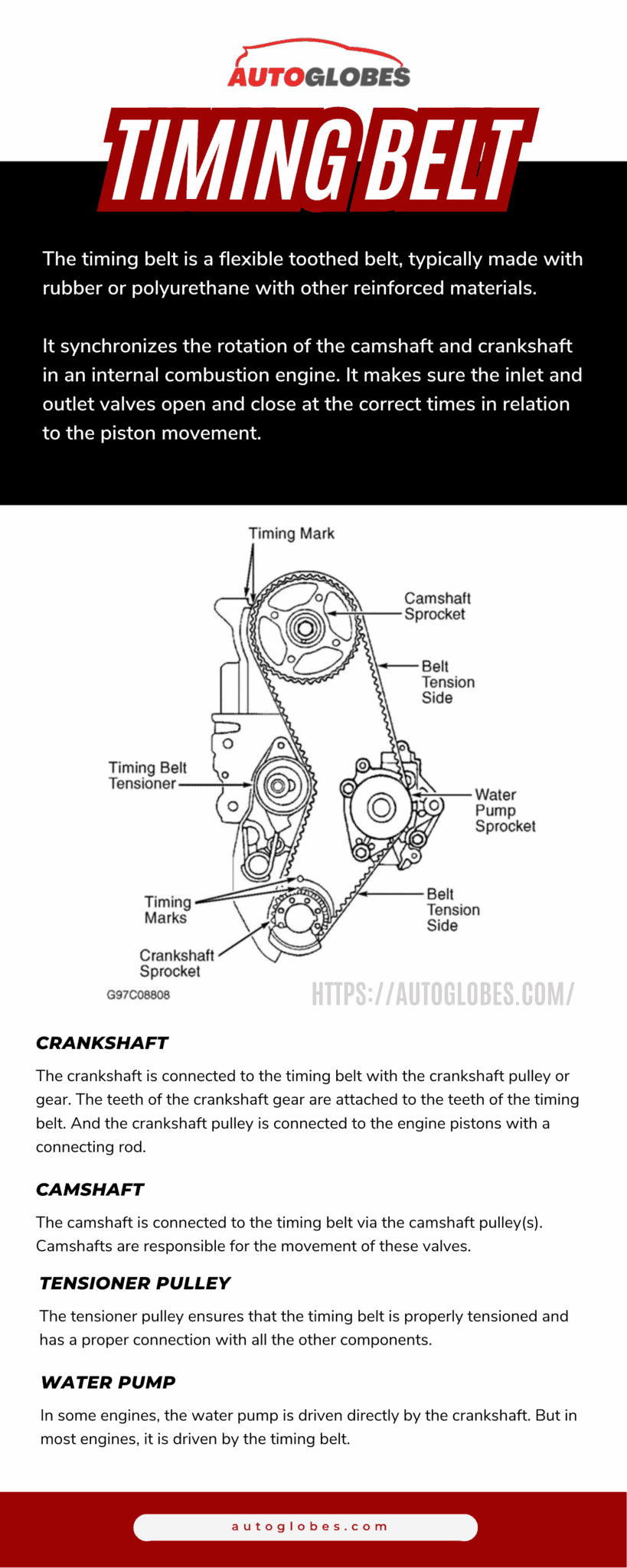 What Does A Timing Belt Do? (Function and Importance) AutoGlobes