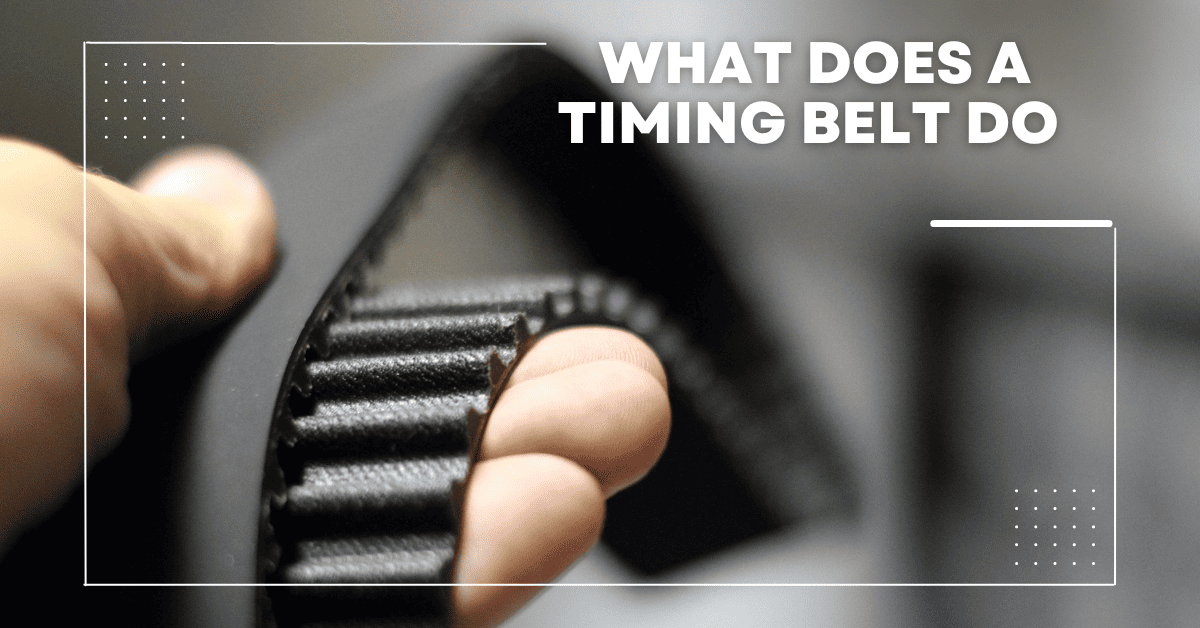 What Does A Timing Belt Do? (Function and Importance)
