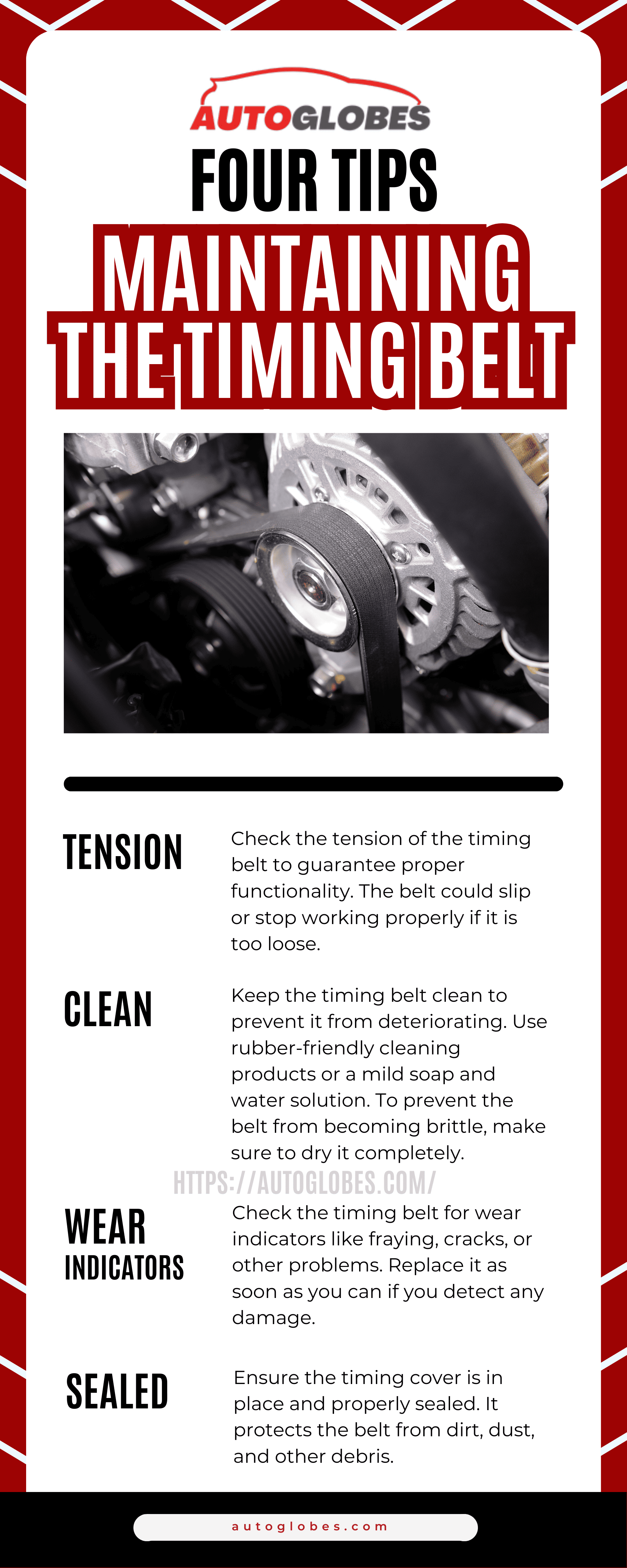 Maintaining the Timing Belt Infographic