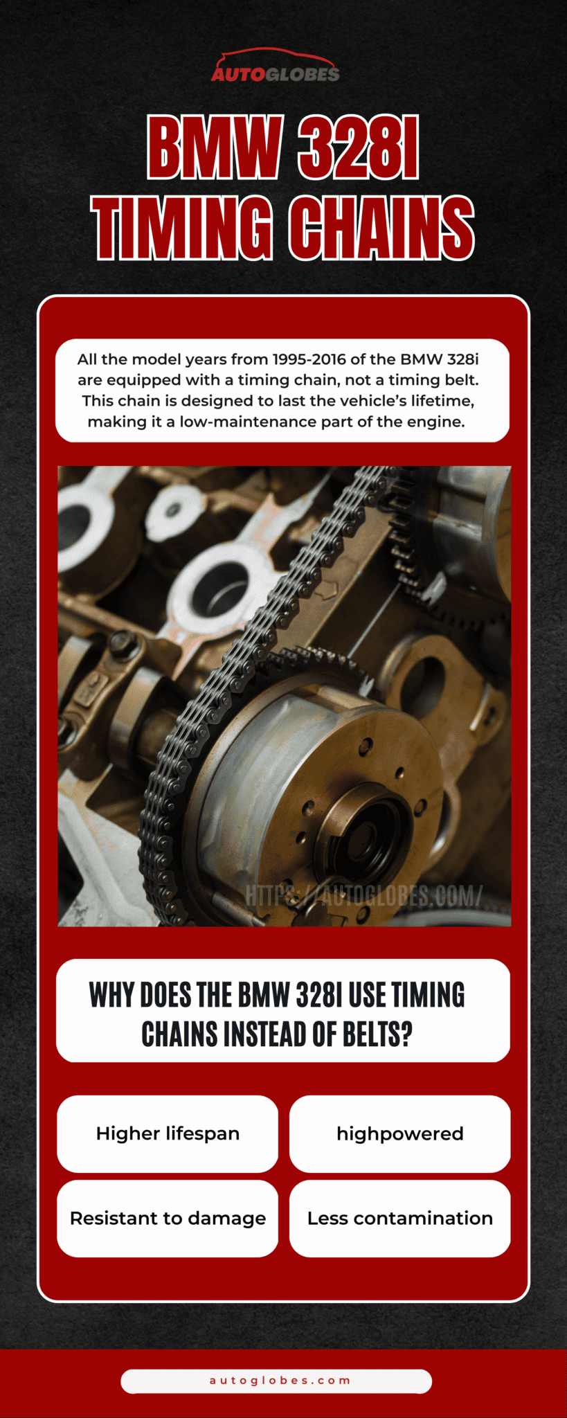 Does A BMW 328i Have A Timing Belt Or Timing Chain? AutoGlobes