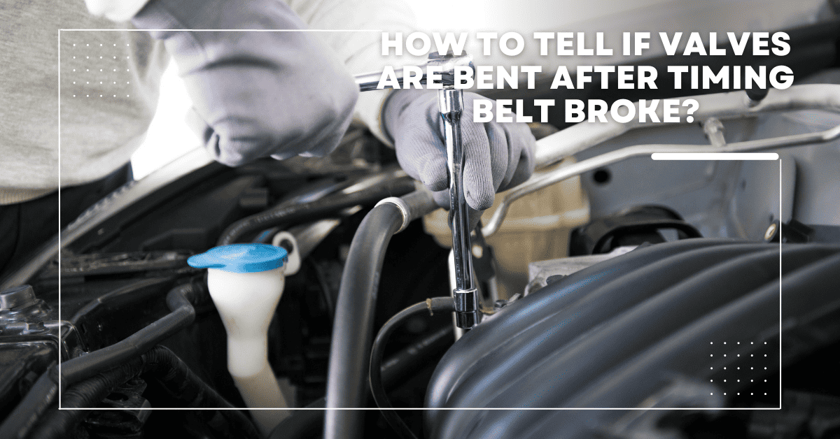 Can You Lubricate Timing Belt? [Explained]
