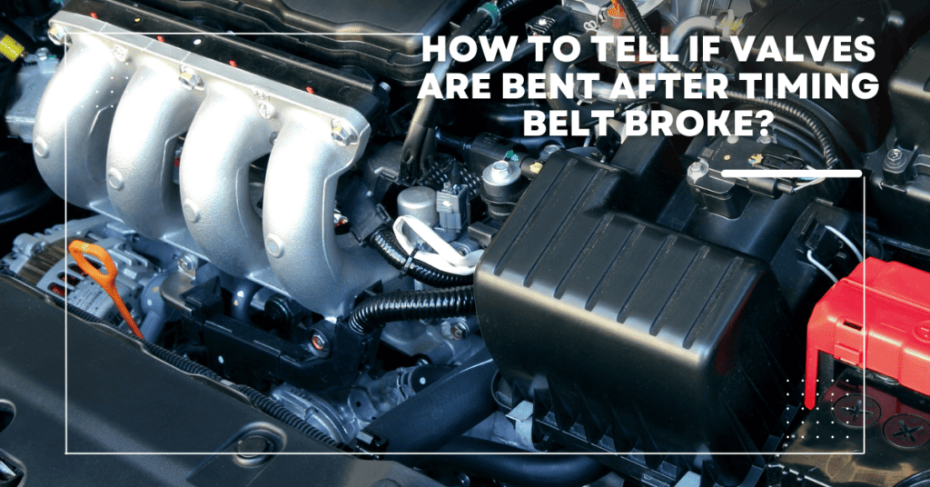 Timing Belt AutoGlobes