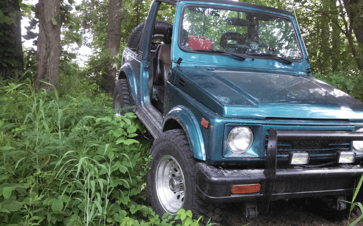 jeep in forest